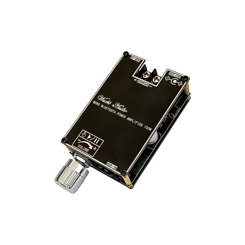 Bluetooth 5.1 TPA3116 D2 モノラル  - Home Cinema Choice のレビューと価格