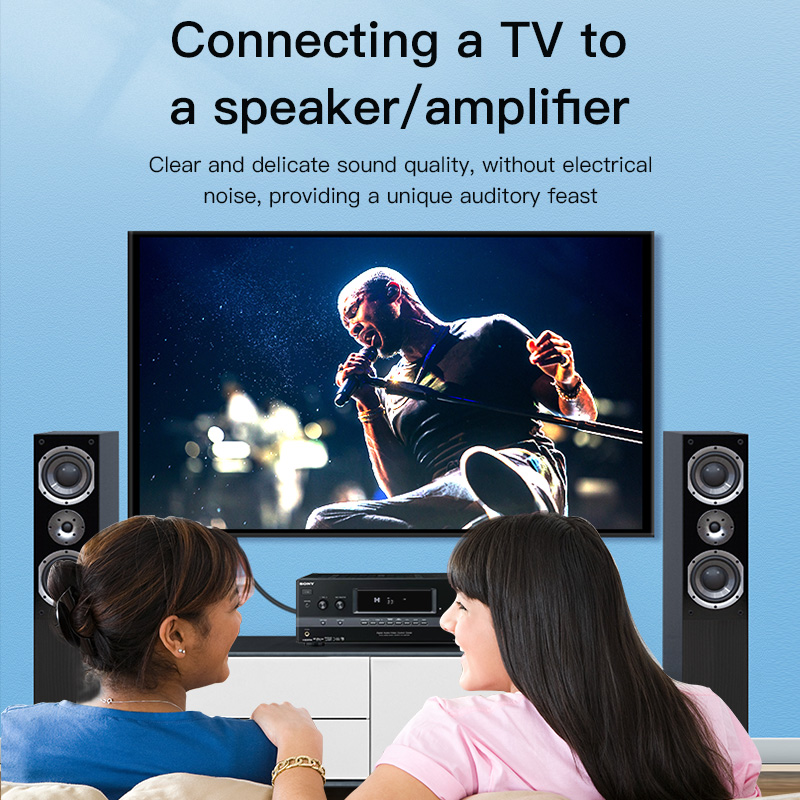 CHOSEAL RCAケーブル デジタル同軸オーディオケーブ - Home Cinema Choice のレビューと価格